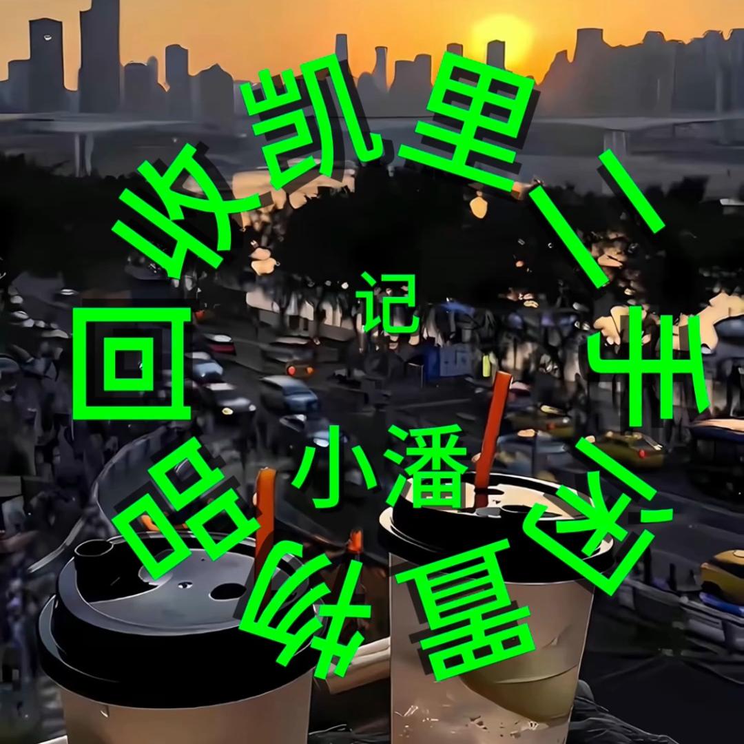 凯里市  二手回收记小潘  百货店
