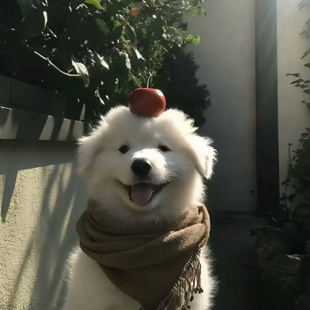 鲨鱼逃到海底🦈