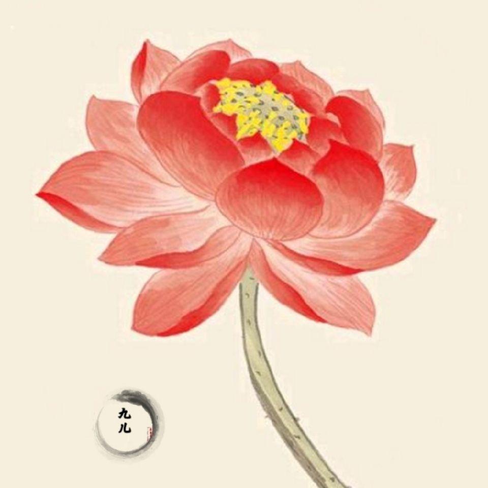 九 儿📿