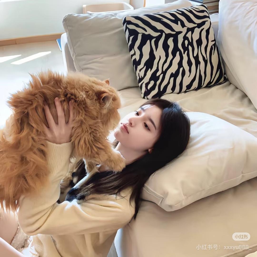 小猫碎碎冰