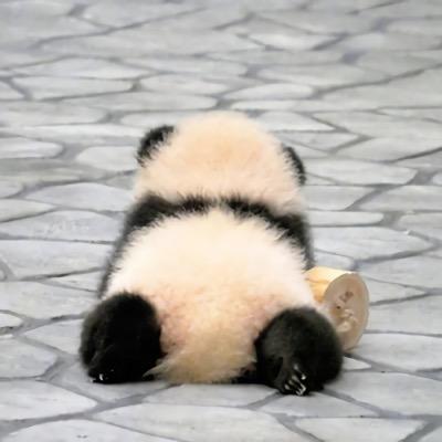 Yoodu