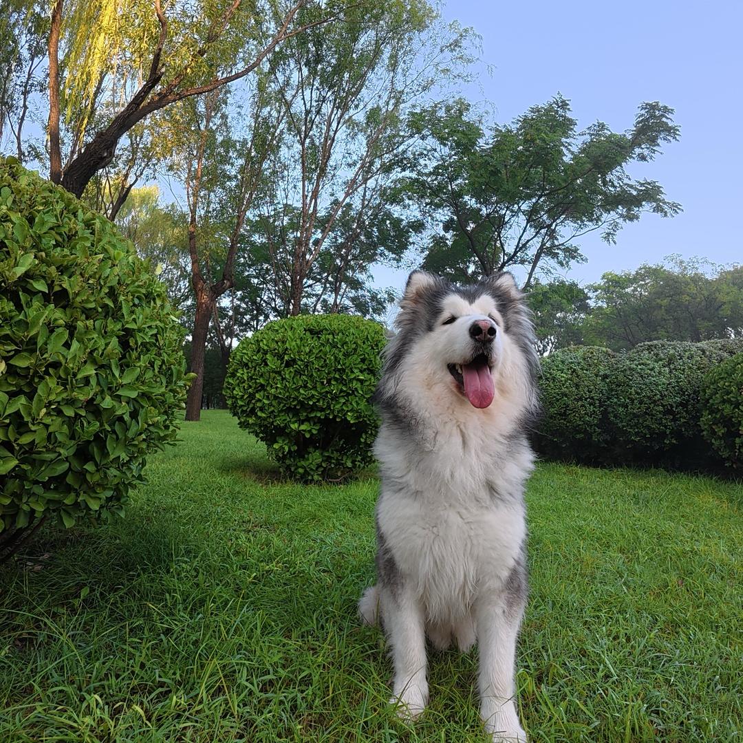 多多是个小乖乖