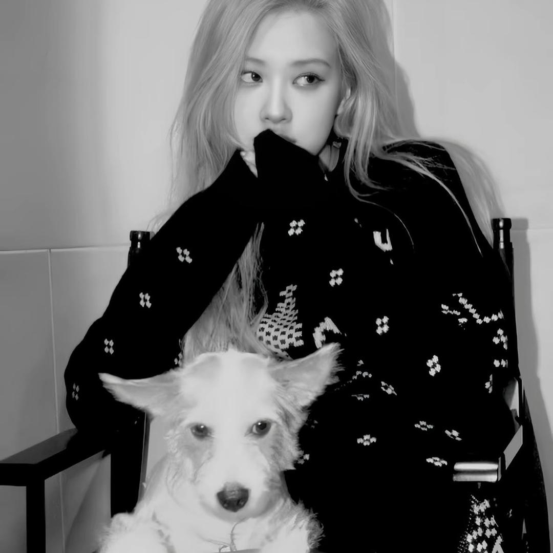 ￴￴ ￴￴     青山困于水