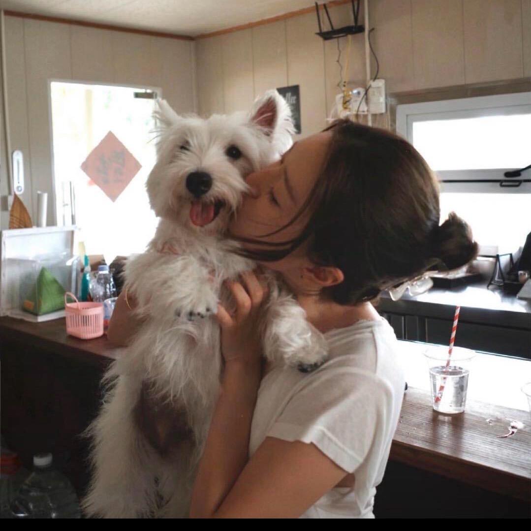 ʚ 小白菜 ɞ