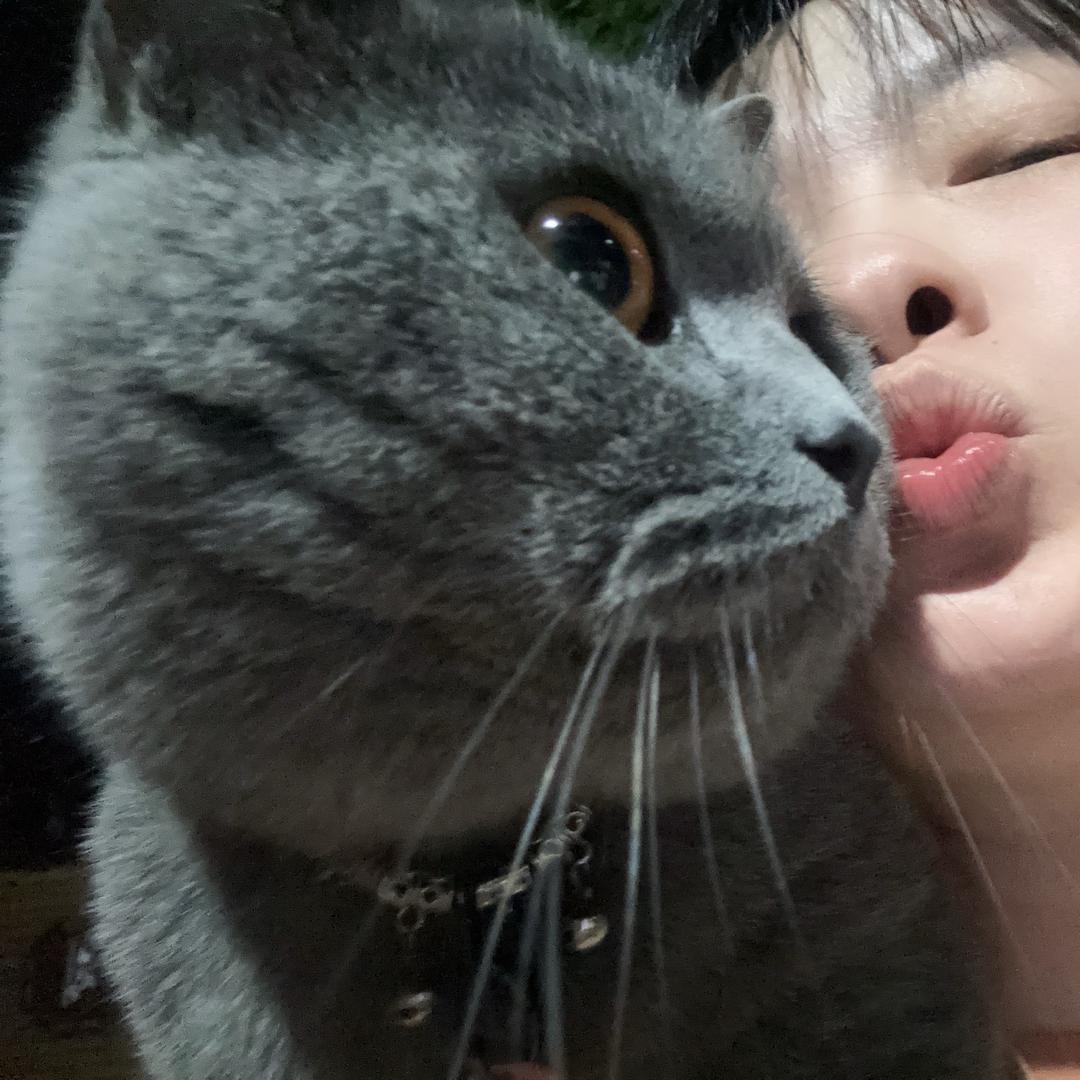 可爱吖 ʕ ᵔᴥᵔ ʔ