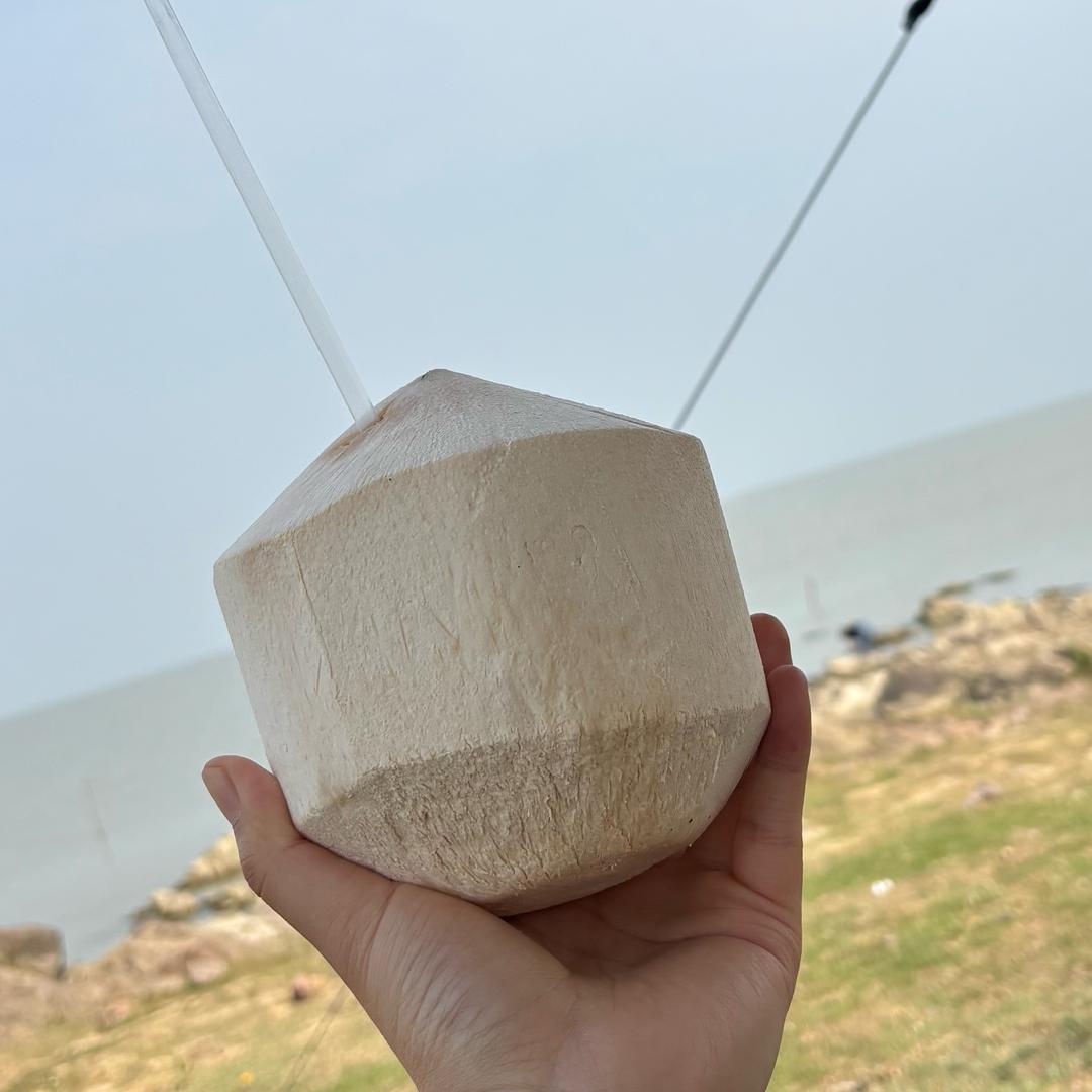 上山打脑虎