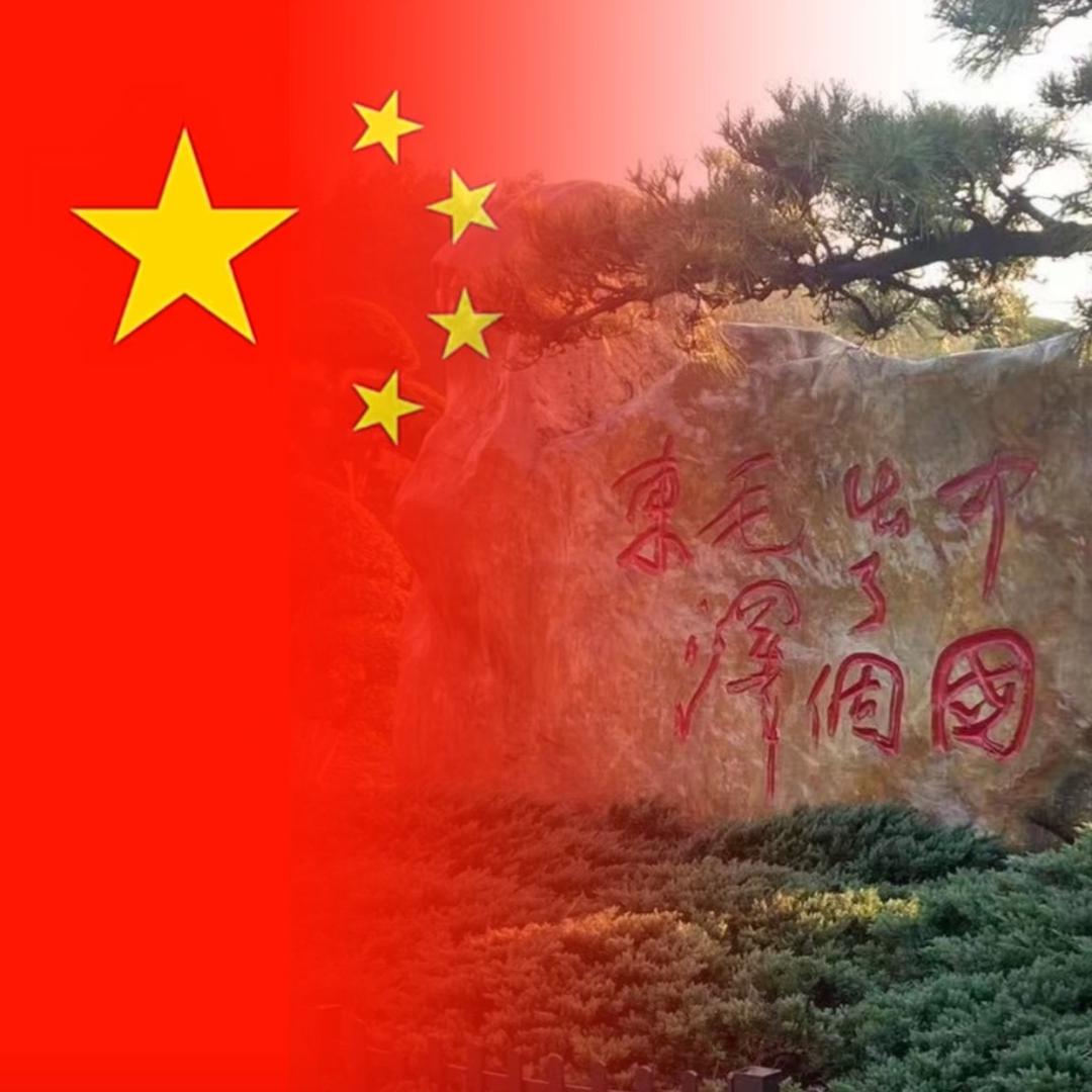 普宁市佳羽园林供货商