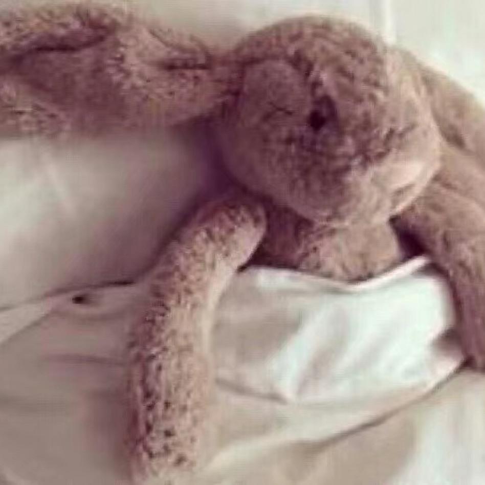 এ᭄兔子、不在窝⁵²⁰এ💕