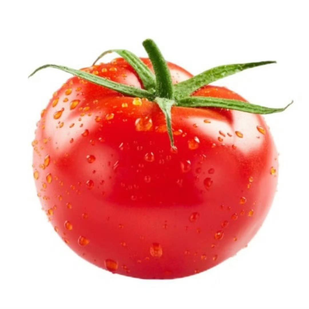 东门超市小番茄🍅