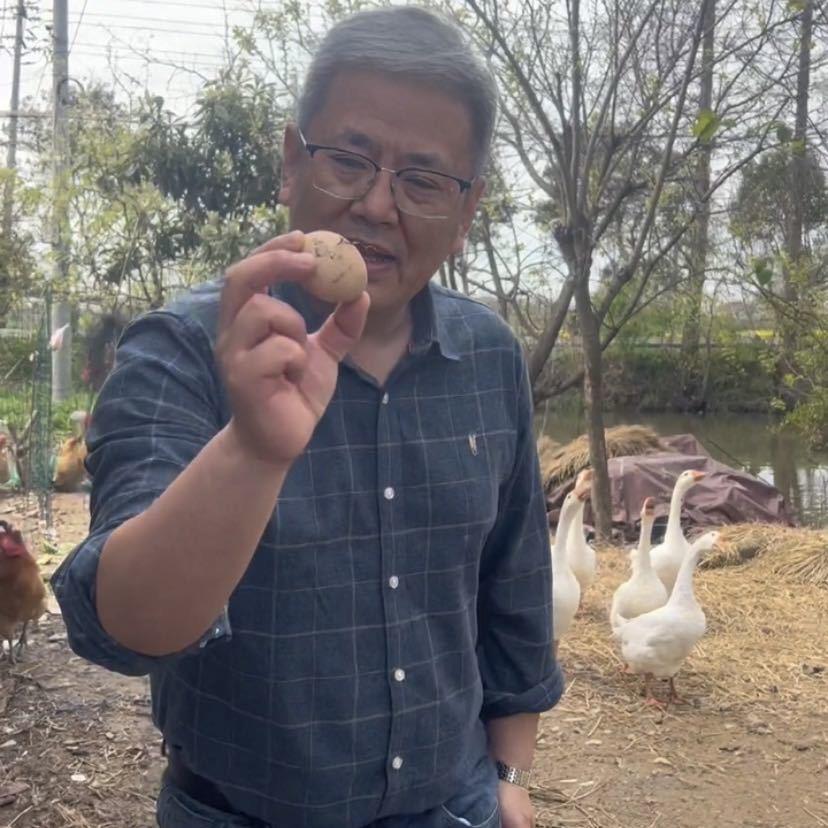 董野鲜生