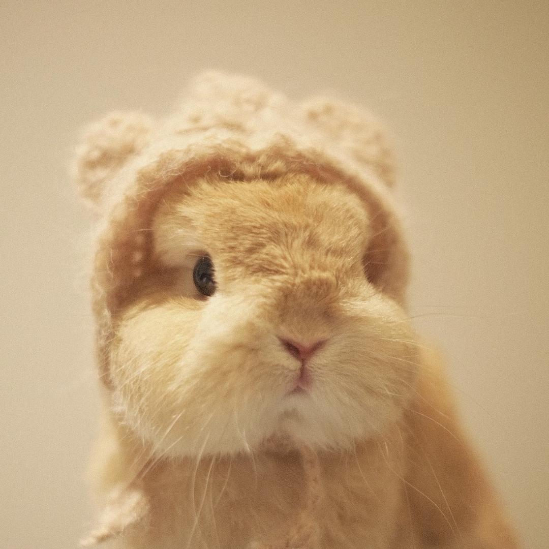 久红兔兔创意屋