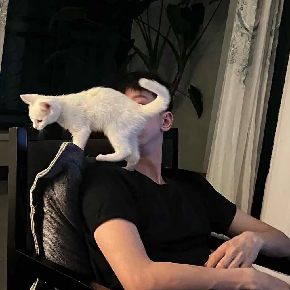 LNTANO.
