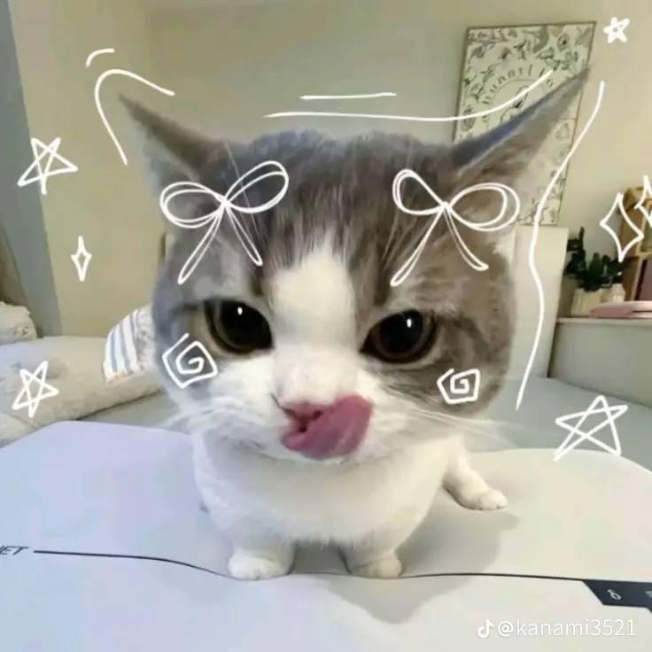 一只风口上的猪