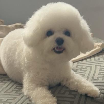 奶酪の日常生活