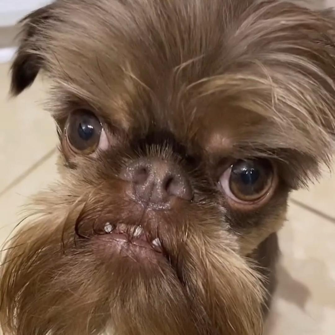 杨小过