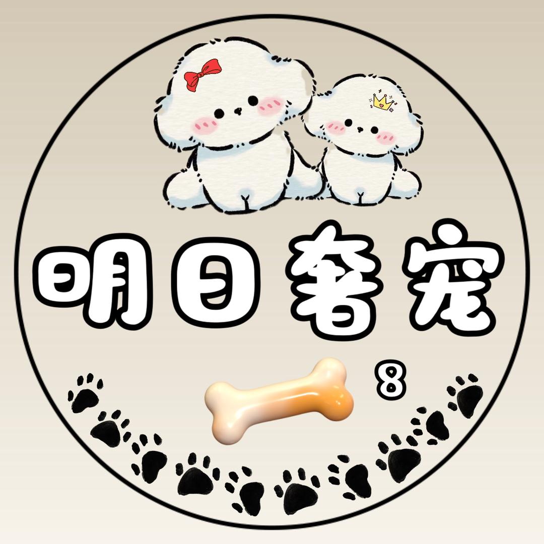 韩系比熊-明日奢宠8号