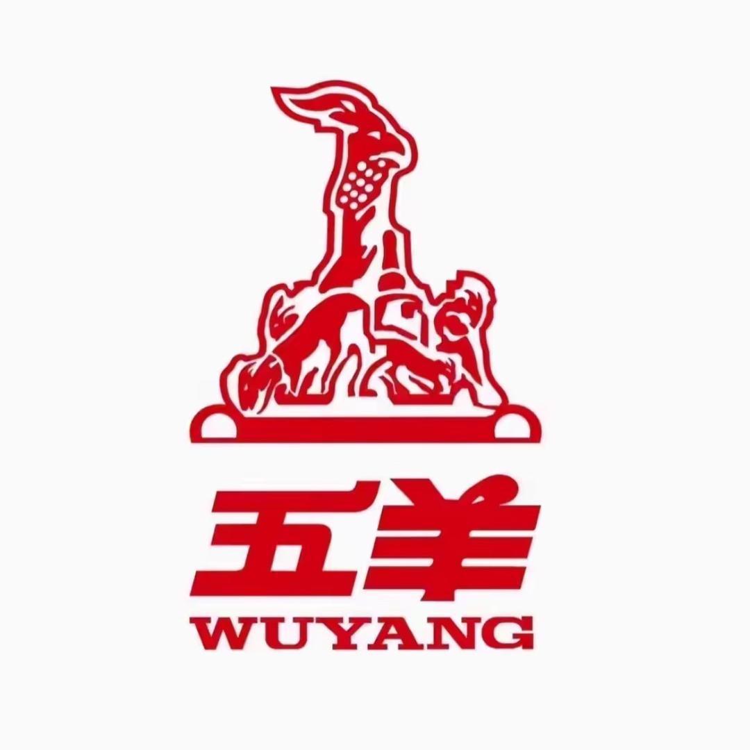 五羊新款电动车（志）