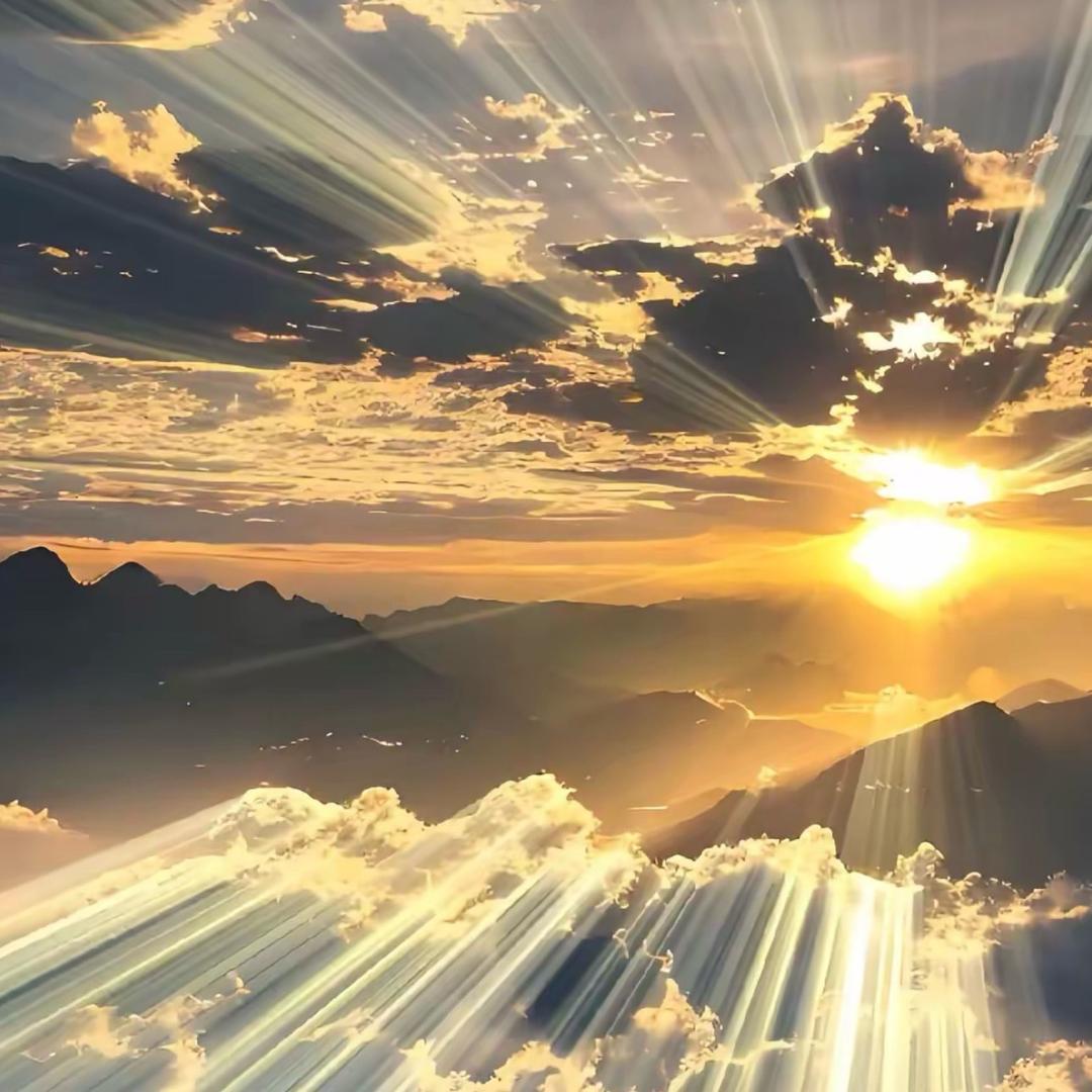 去码头搞点薯条