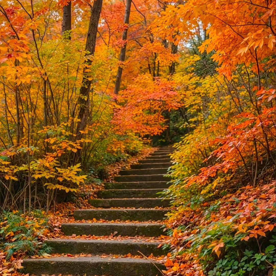 沈阳仲疼诺鑫选优品小铺