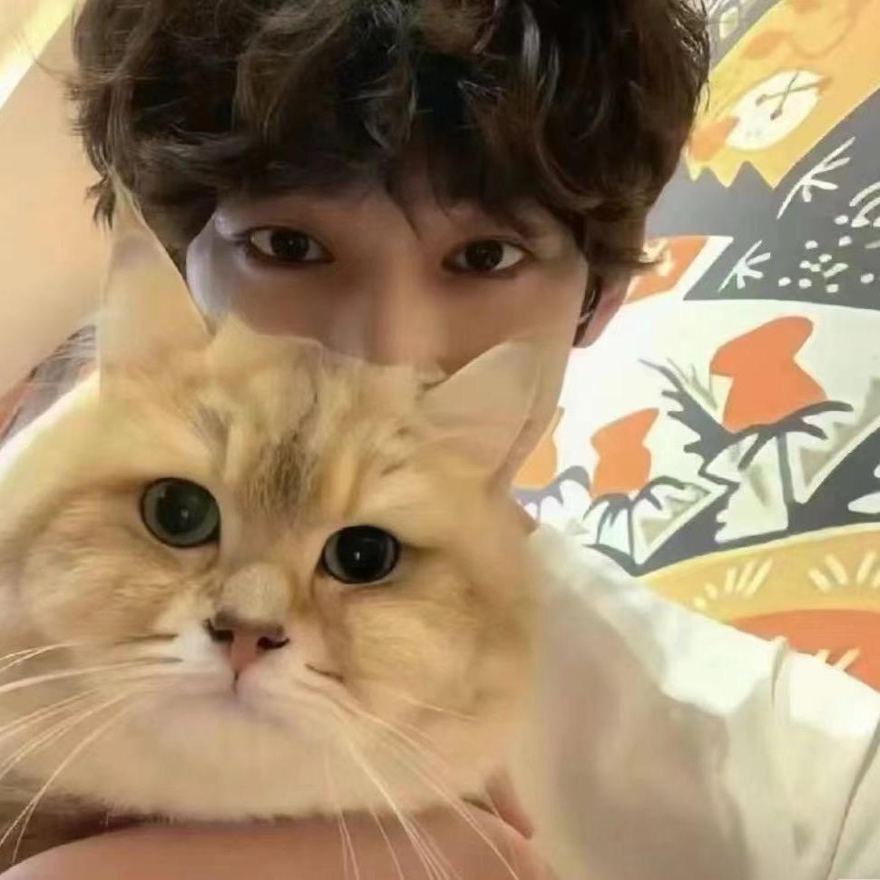 萨摩耶是只猫🐱