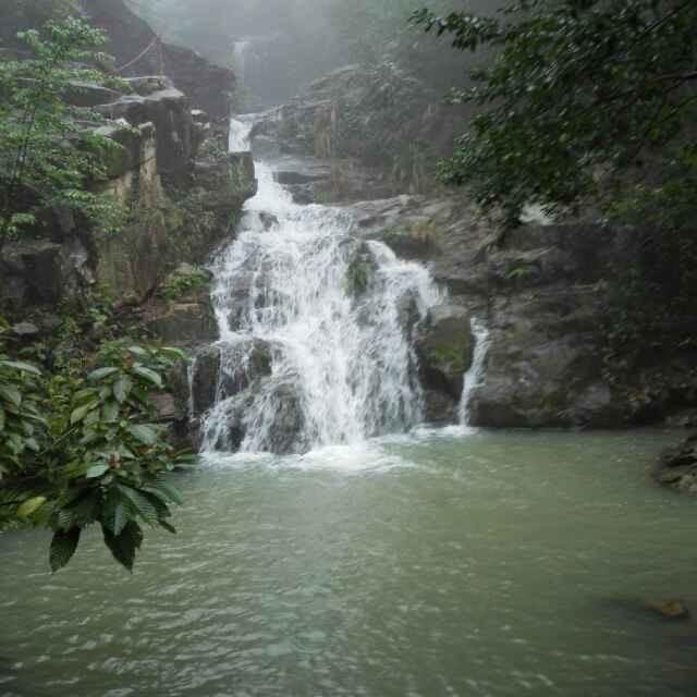 鸿中杰