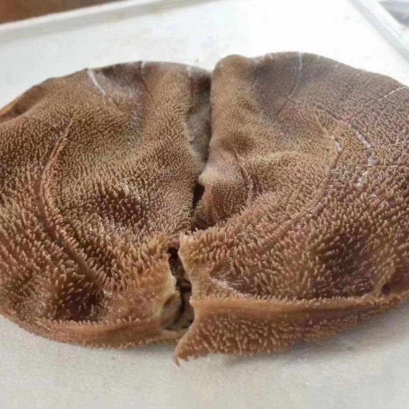 深圳天天鲜火锅烧烤食材