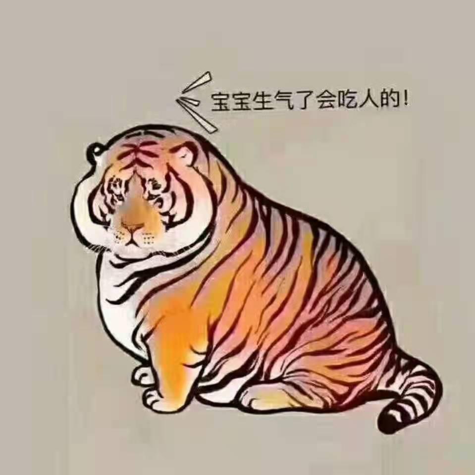 biu特虎