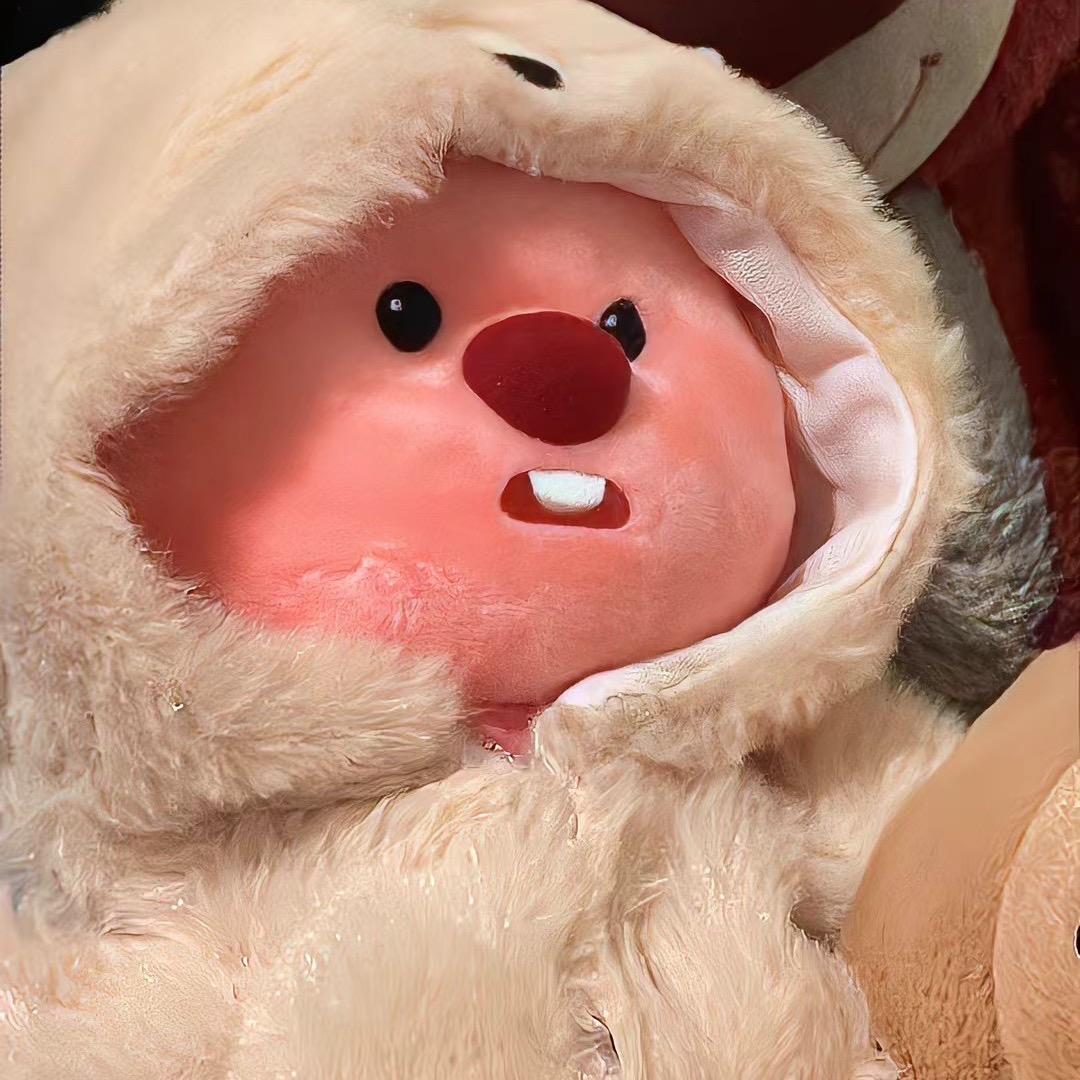 兔子老师