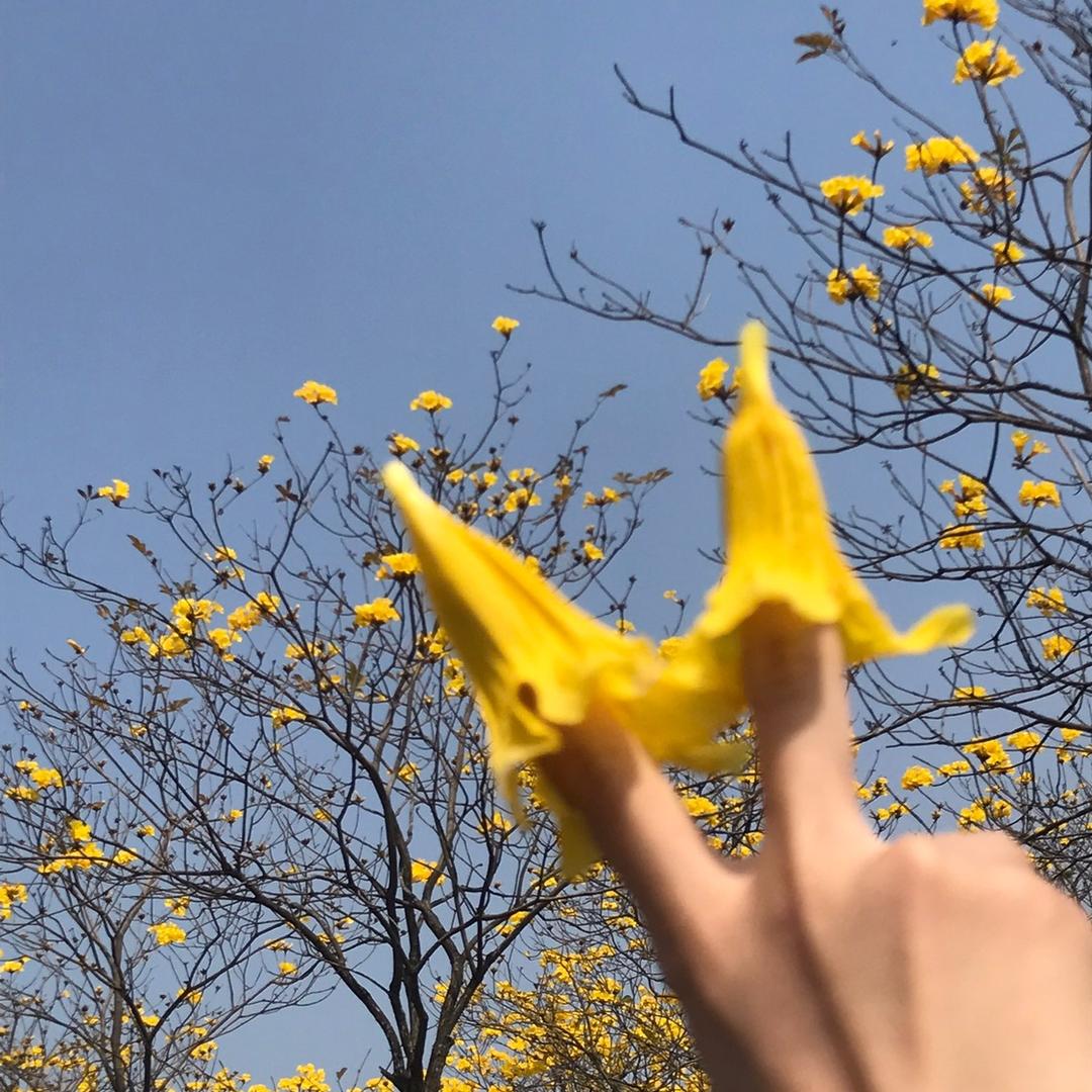 禧禧✨