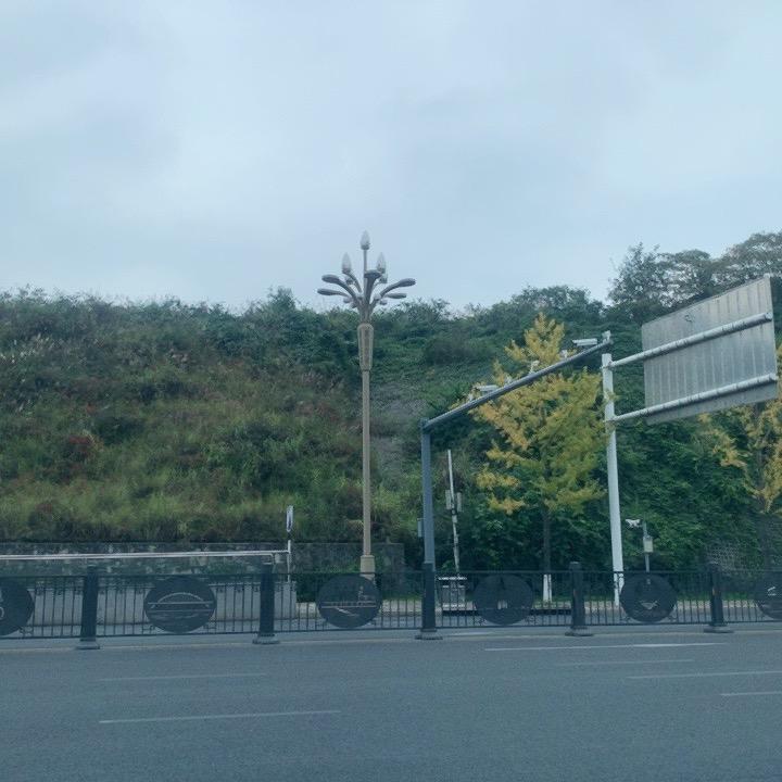 二十不果断终生都遗憾悔不当初