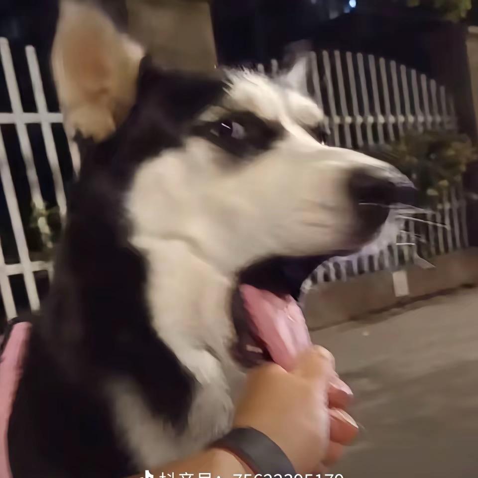 上班好烦