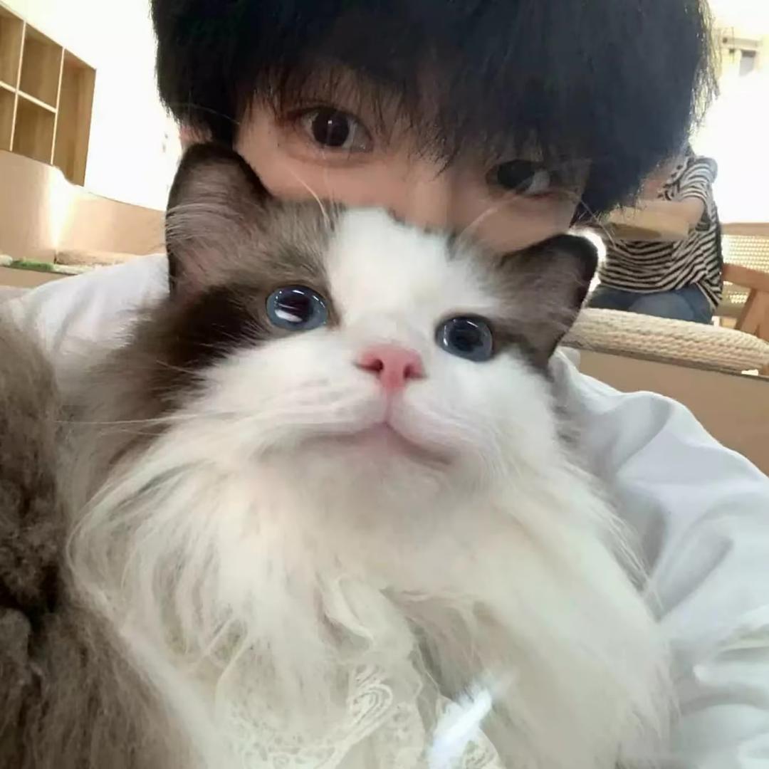 年糕