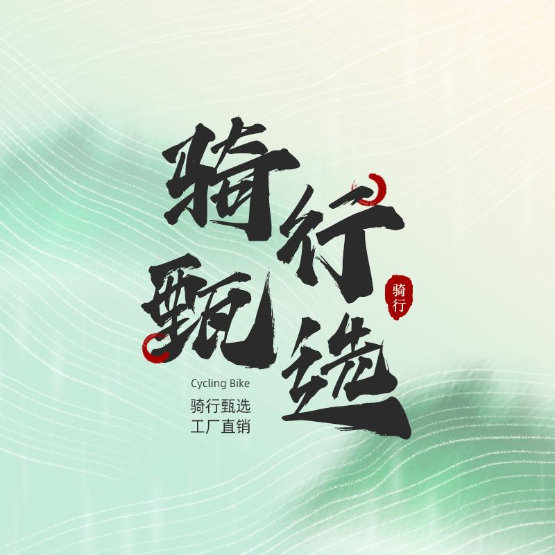 骑行甄选自行车工厂店