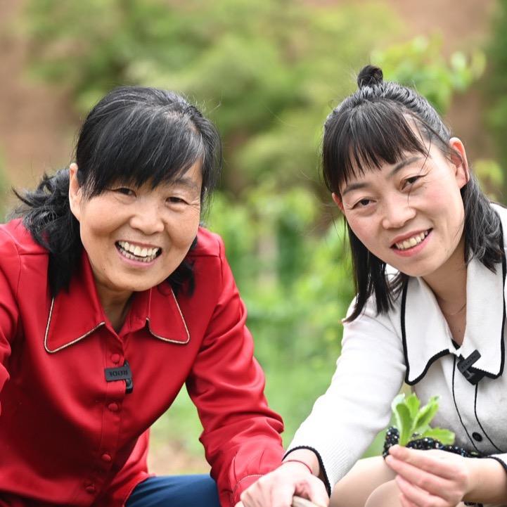 孙大姐美食9月26号早上9点卤牛肉