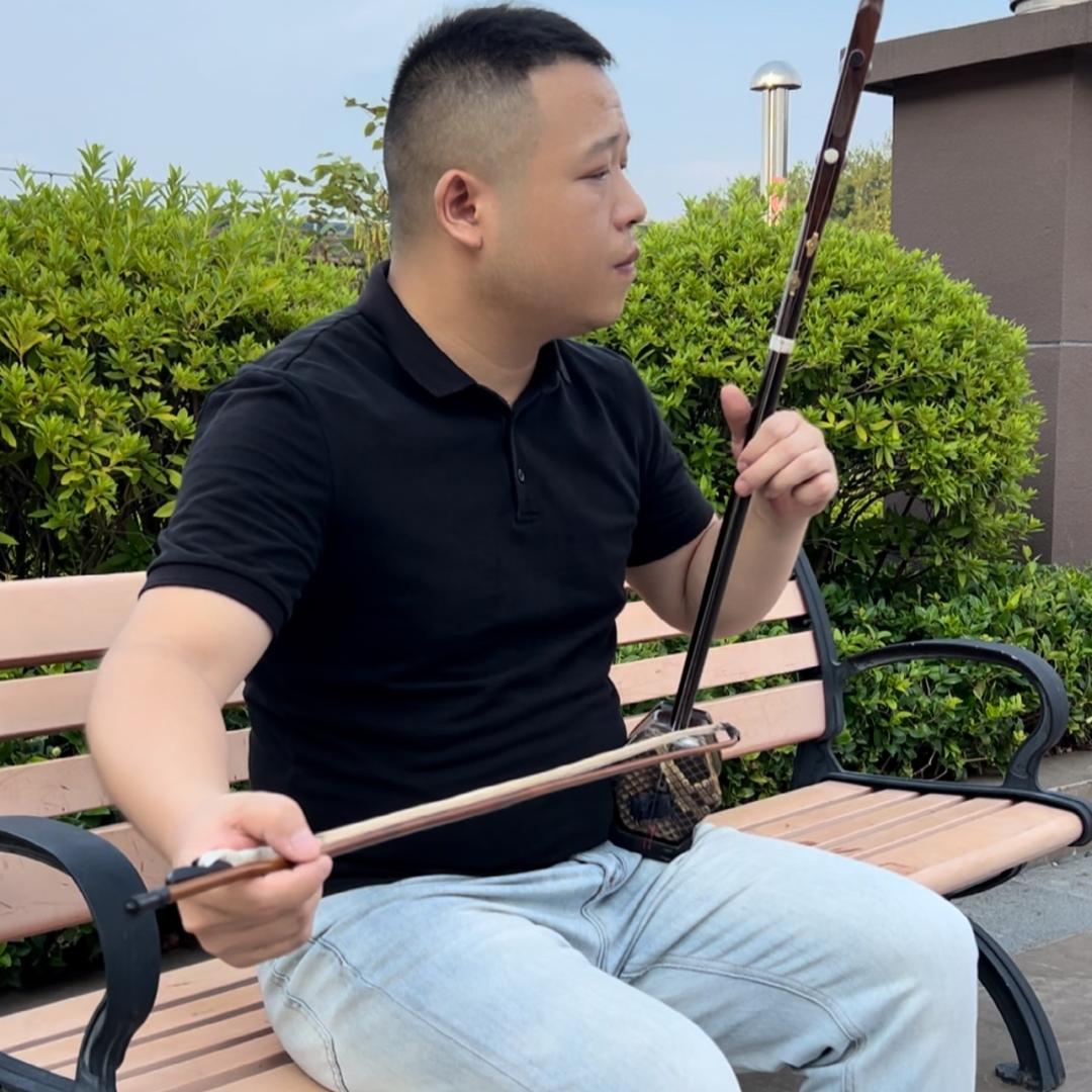 琴某某