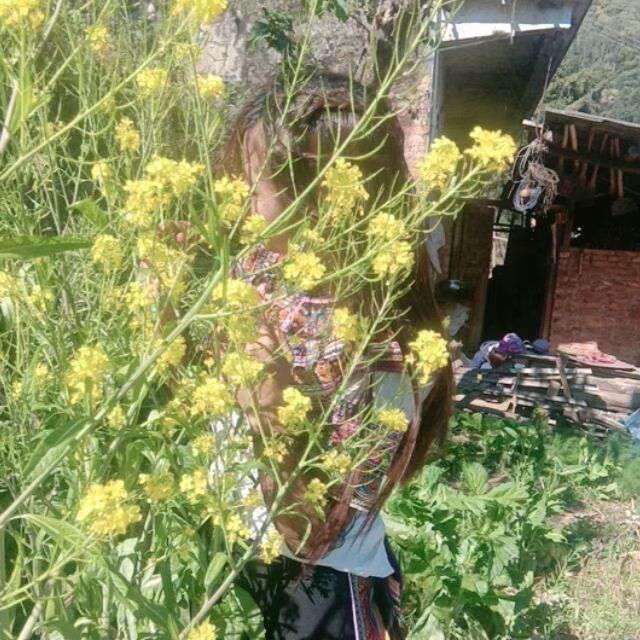 吴爱笑