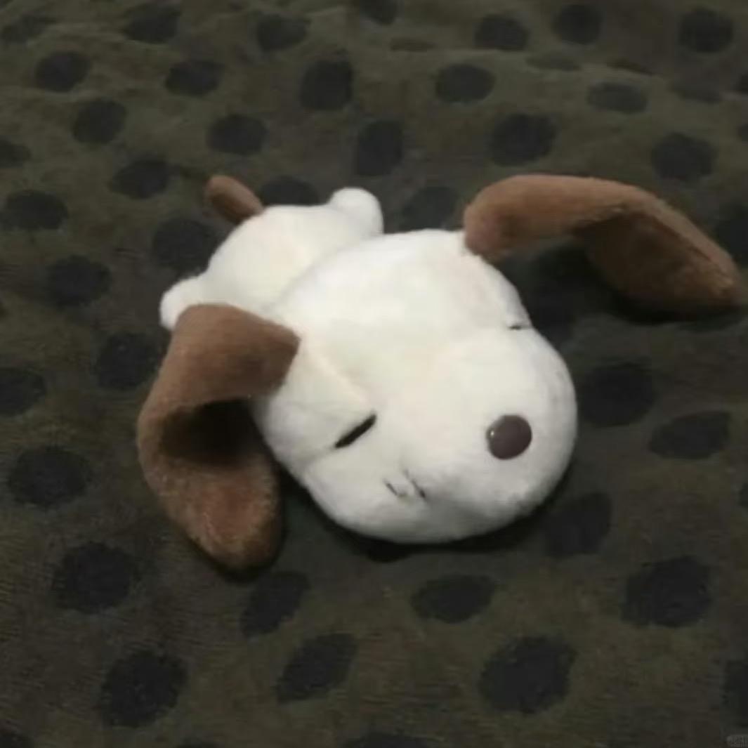 小y.