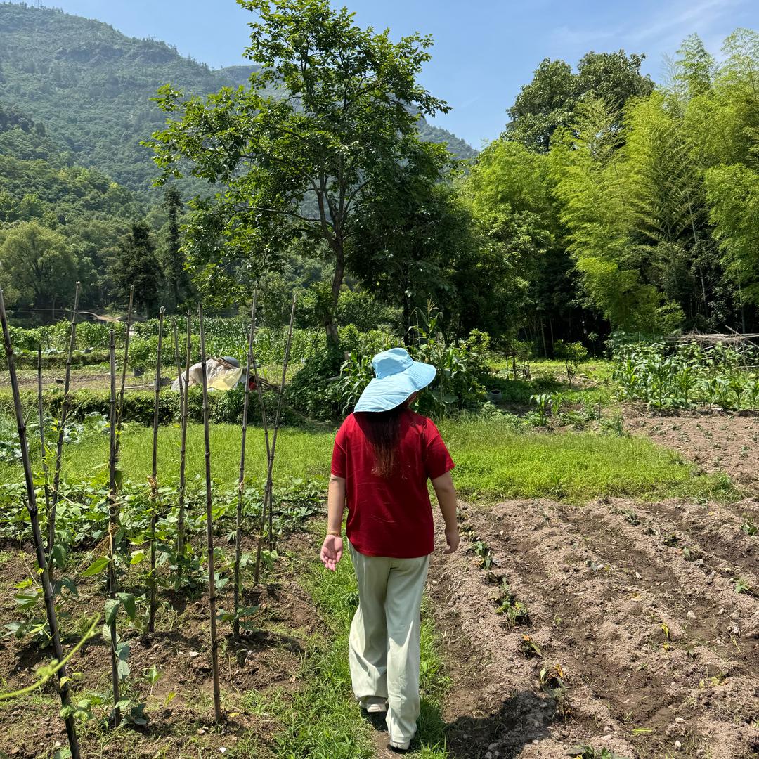 跃跃今天又瘦了！