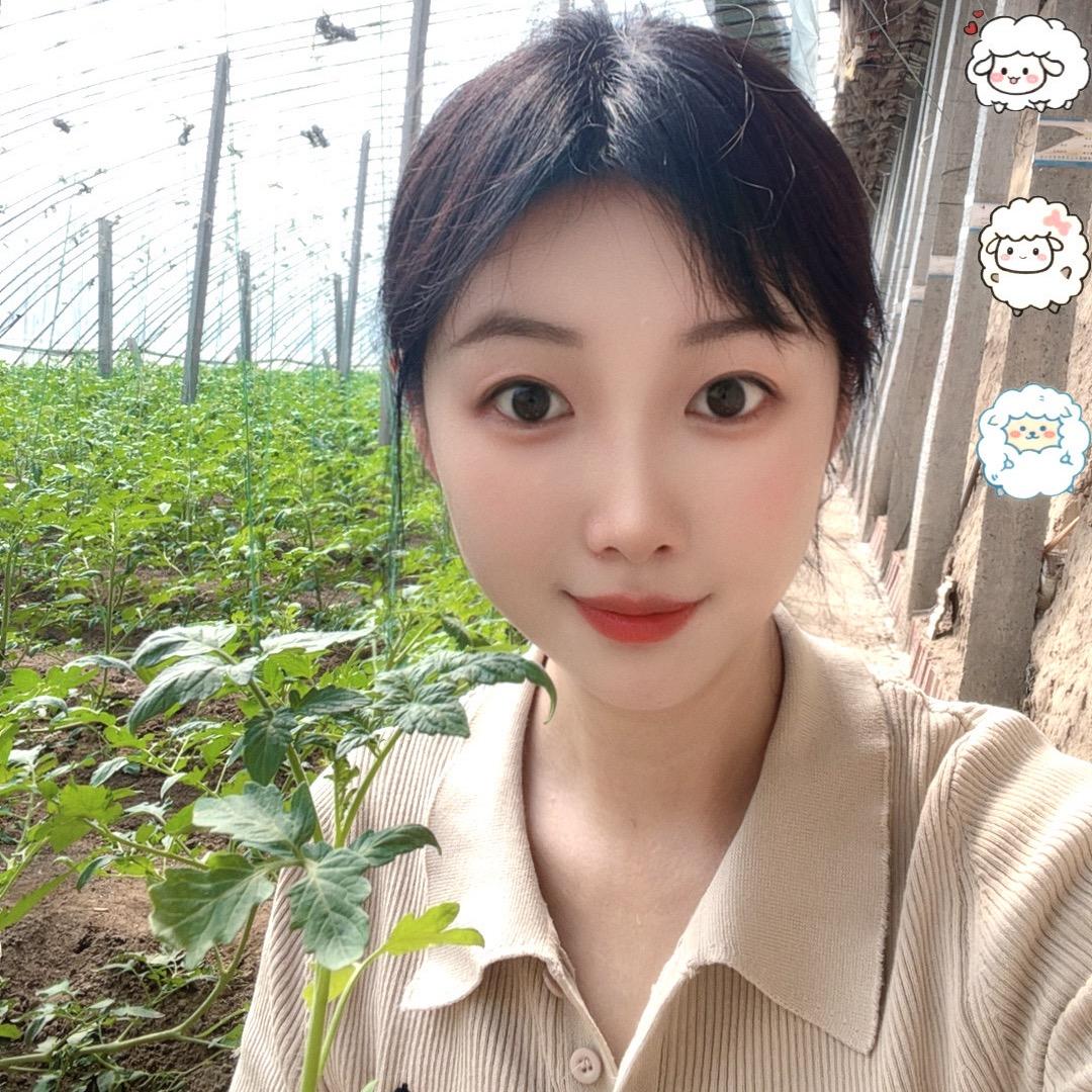 寿光小杨-讲蔬菜种苗🍅🌶️🍆🥒