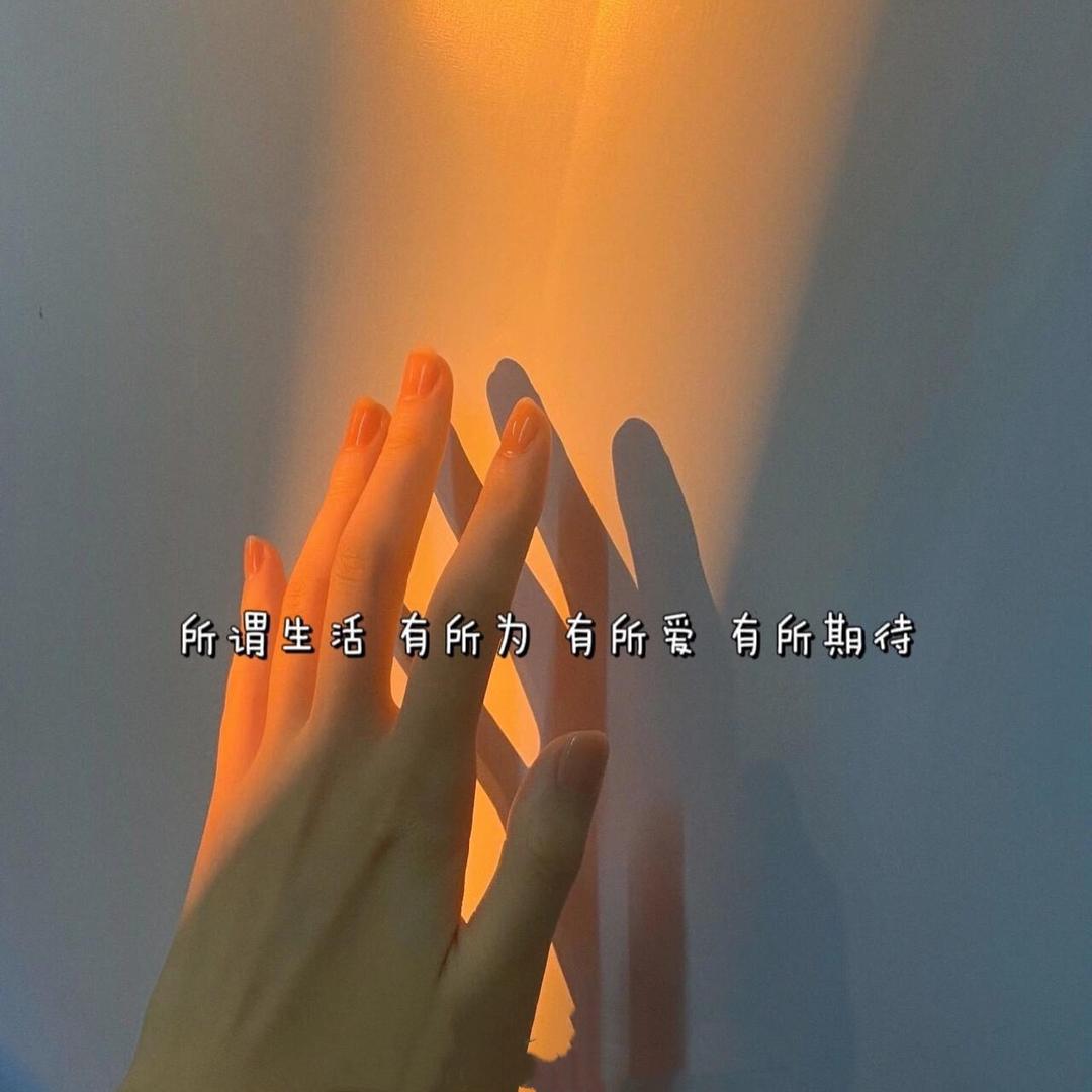 💰前途辉黄💋