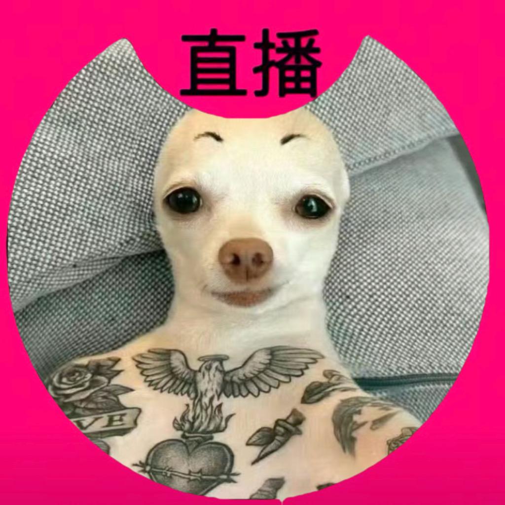 小猪婴宝