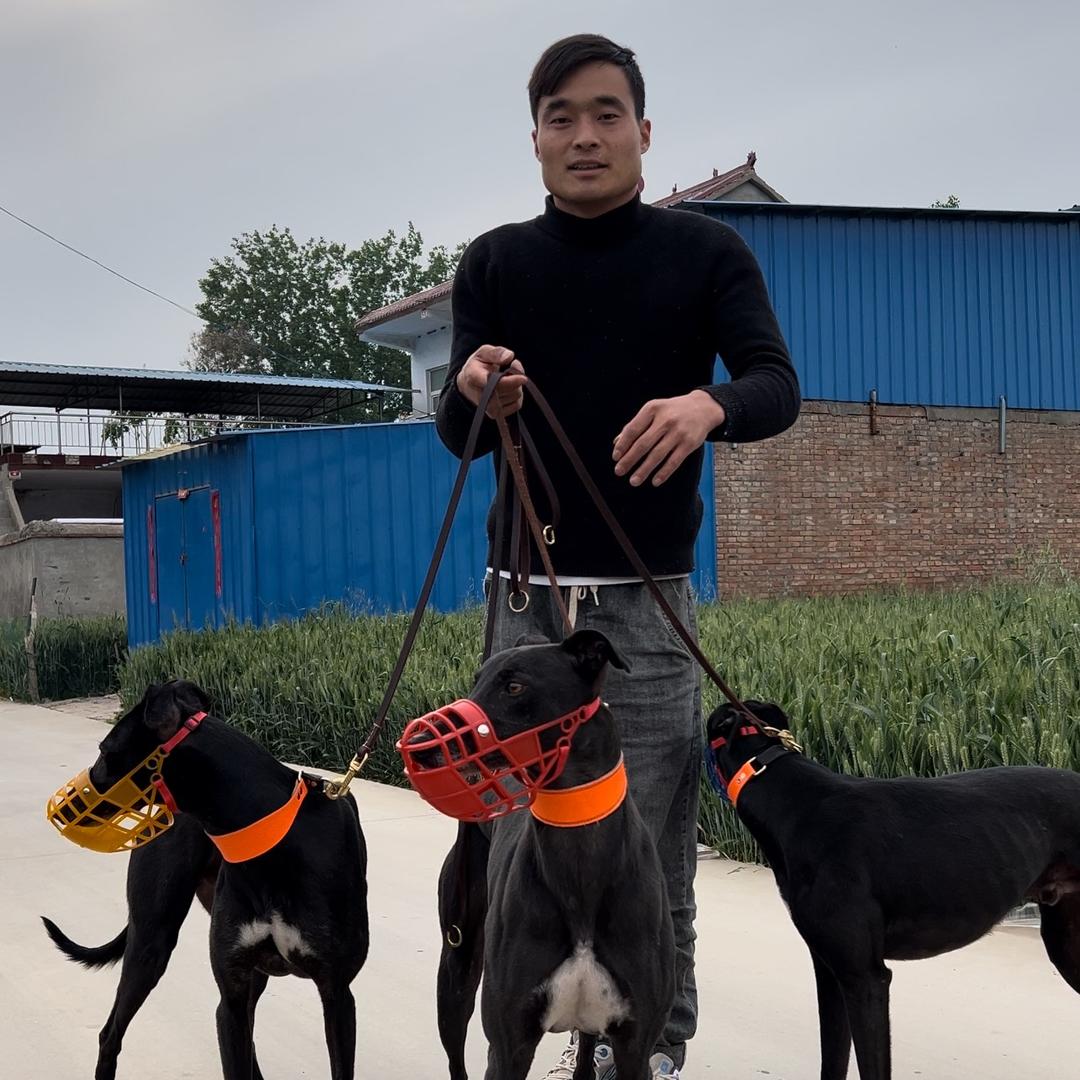 王九条犬舍2号店