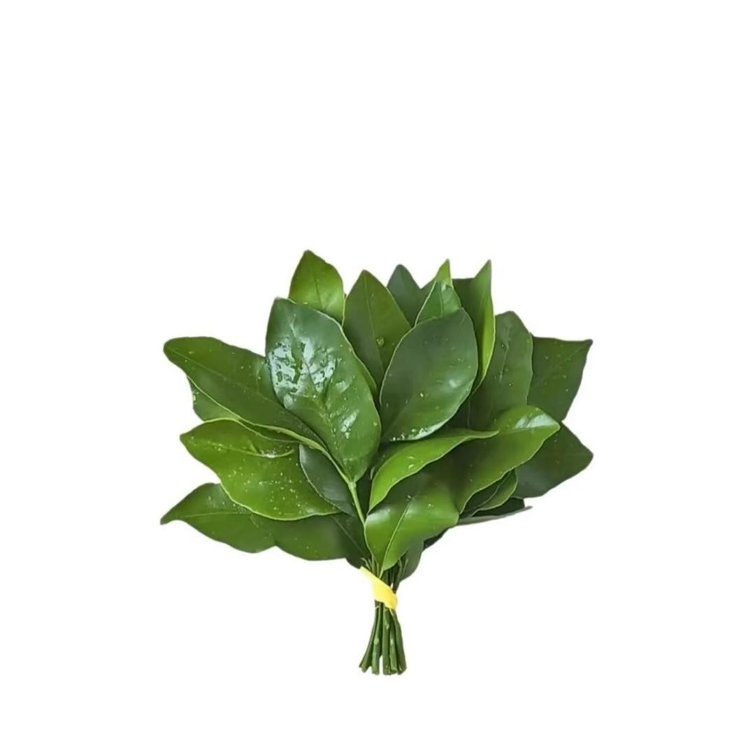 ‍