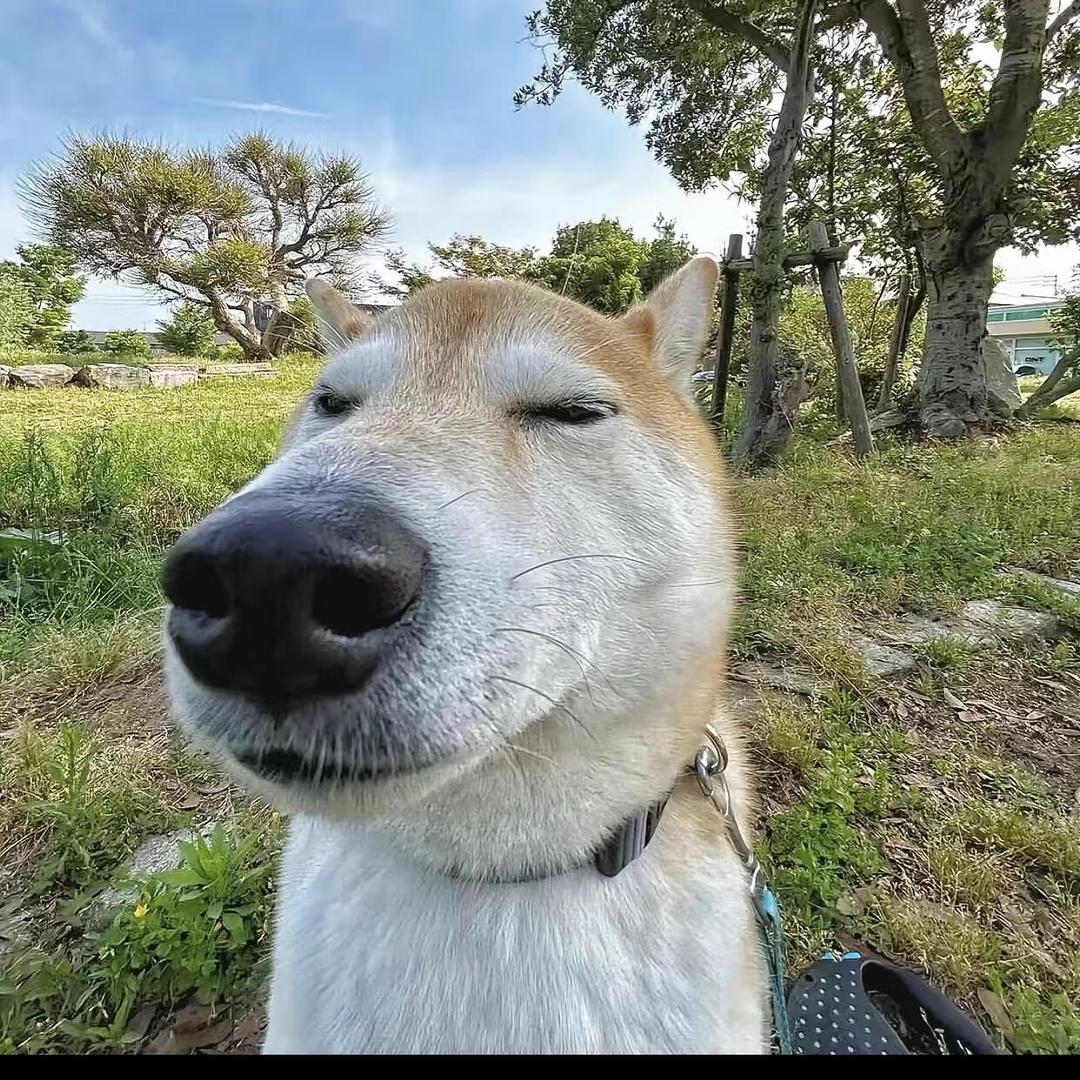 JH3