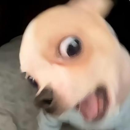 裤里难