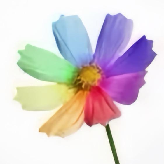 七色花🌸