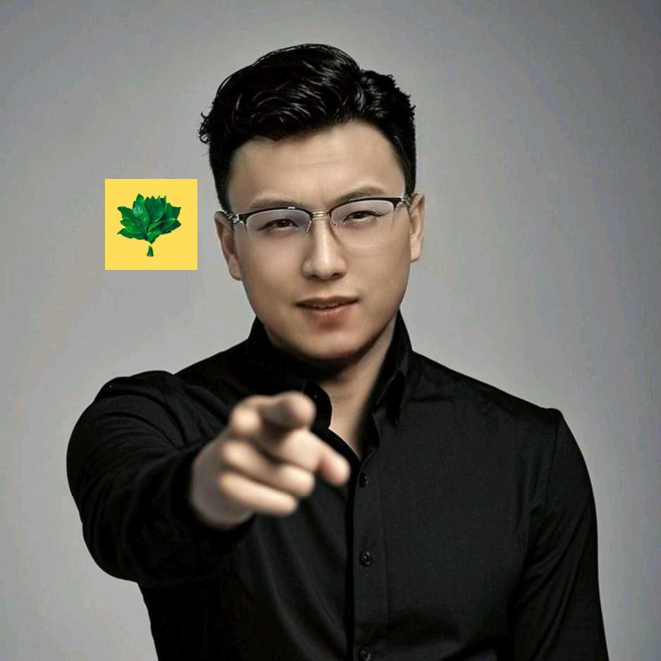 北京金融阿文总 &