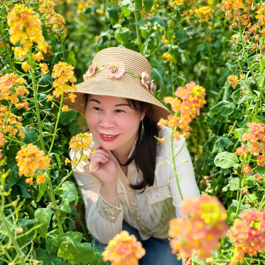 蔷薇花