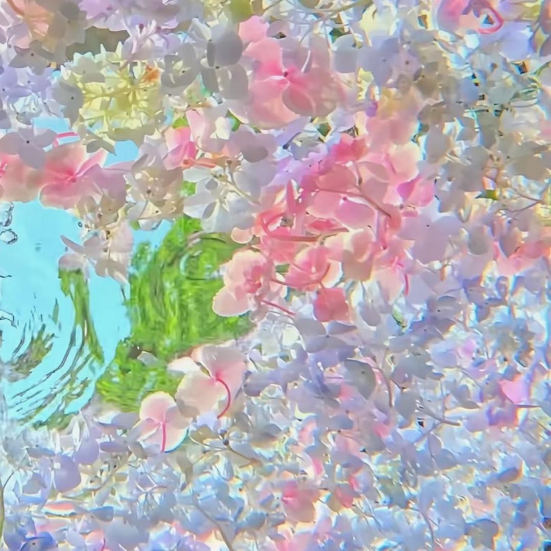 燕