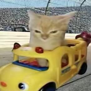 暗区突围   悼官